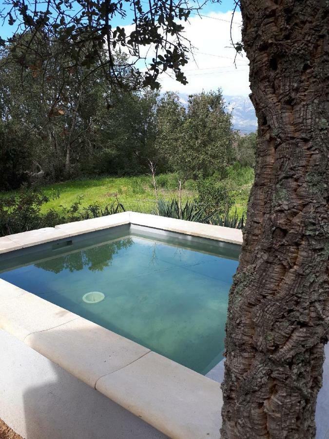 Casa Gattu Villa Porto Vecchio Exterior foto